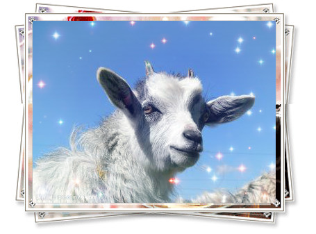 2015  羊?qū)殞毱鹈簩傺驗(yàn)槭裁磸牧⒋核闫穑? /></a>2015羊?qū)殞毱鹈簩傺驗(yàn)槭裁磸牧⒋核闫穑?源自美名騰智能起名網(wǎng)
問(wèn)：2015年屬什么生肖? 2015年是什么年?
答：2015年生肖屬羊。2015年是農(nóng)歷乙未年（羊年）。
問(wèn)：2015年立春是...</div>
							        <div style="height:5px; font-size:5px"></div>
							        <hr width="99%" style="text-align:center; border-style:dotted; border-width:0px; height:1px;" />
							        <div style="height:5px; font-size:5px"></div>
							    </div>
						        </td>
	</tr><tr style="border-width:0px;">
		<td valign="top">
						        <div style="padding-left:3px; padding-right:3px;line-height:180%">
							         <h3 style="padding:0px;margin:0px;display:inline;"><a id="ctl00_ContentPlaceHolder1_ShowMore1_dgNews_ctl12_HyperLink1" class="headline" href="/Message/ShowNews.aspx?NewsID=3502" target="_blank">2015羊?qū)殞毱鹈麑ｎ}：給羊?qū)殞毱饌€(gè)吉祥的好名字</a></h3>
							         <span id="ctl00_ContentPlaceHolder1_ShowMore1_dgNews_ctl12_Label1" style="color:Green;font-size:10pt;">2014/11/28 14:58:35</span>
							          <span style="color:Red;font-size:8pt;"></span>
							        <br />
							        <div style="padding-top:1px; width:95%; padding-left:8px; line-height:180%;color:#2f2f2f;font-size:14px;" ><a href=