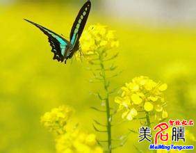 怎樣給自己起網(wǎng)名？