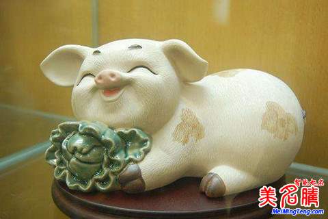 劉姓寶寶屬豬如何起名，劉姓寶寶起名